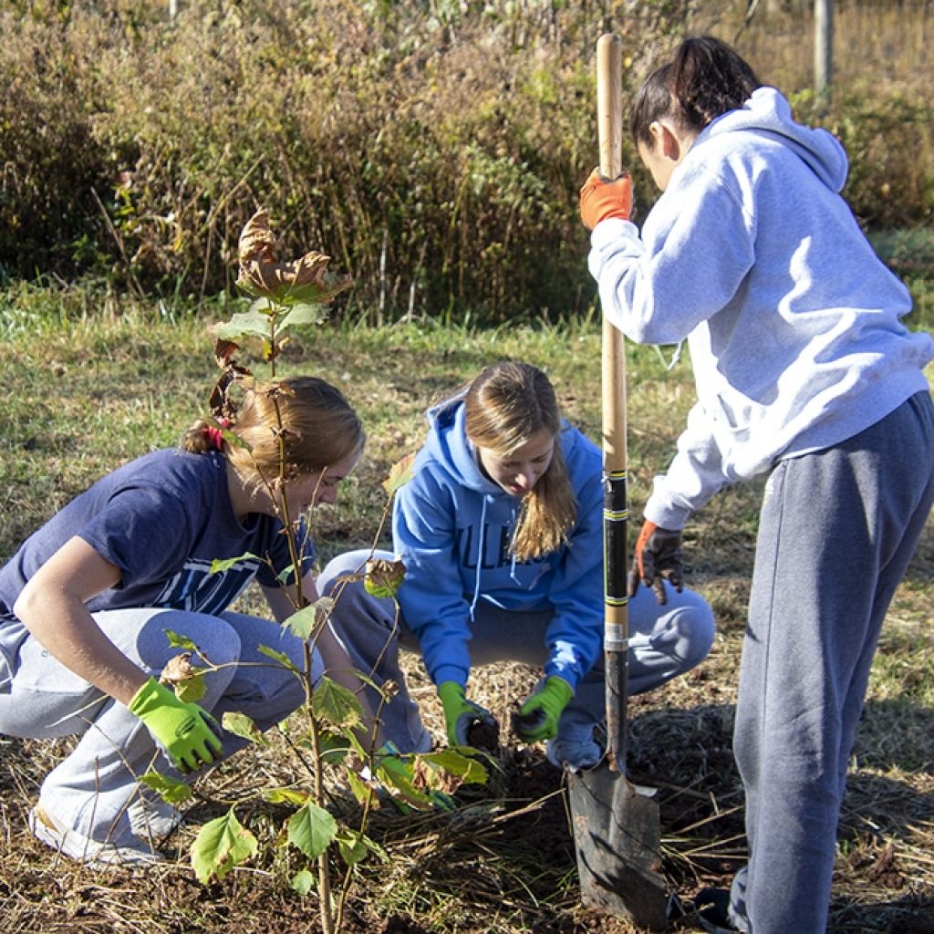 oak knoll students performing community service