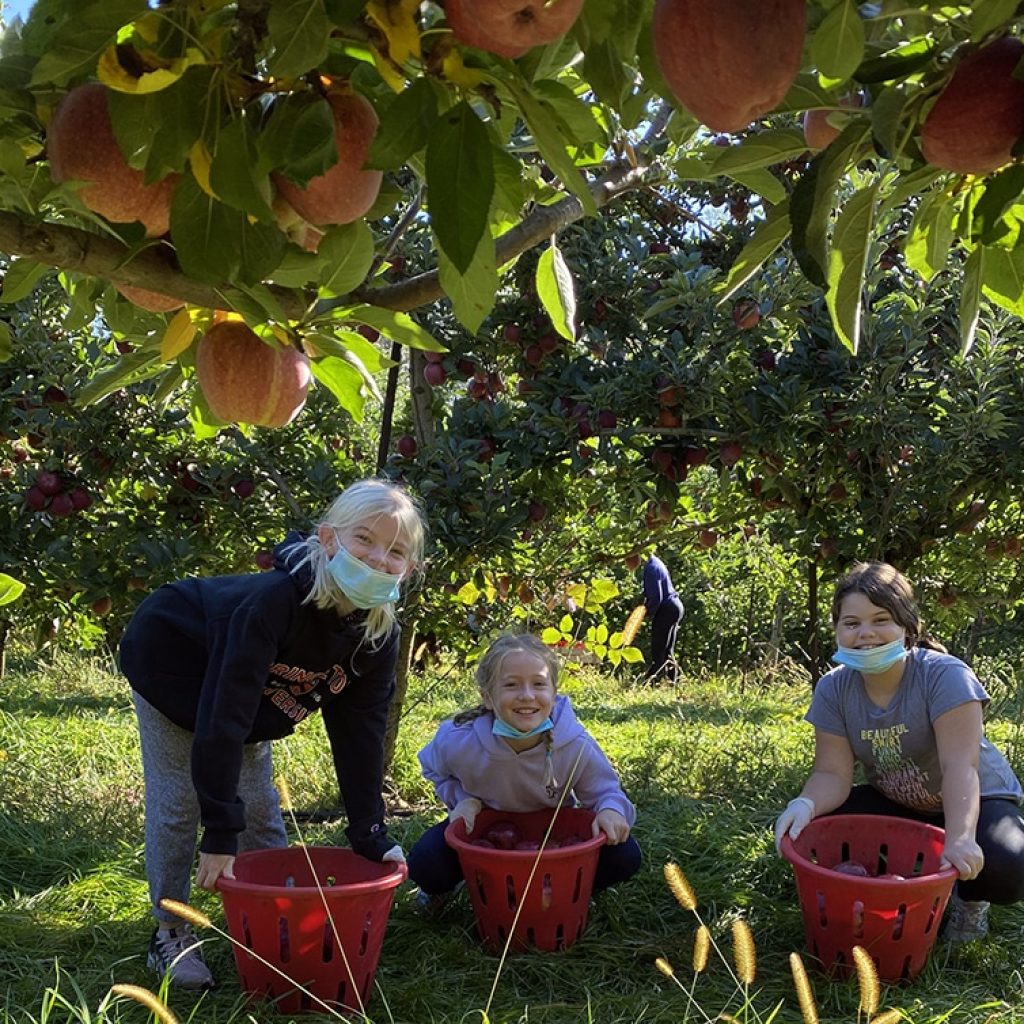 Oak Knoll School fifth graders learned how to help those in need during a field trip to Longmeadow Farm in Blairstown, NJ recently – gleaning nearly 2,000 pounds of apples all to benefit America's Grow-a-Row- a New Jersey-based nonprofit that relies on volunteers to plant, pick, rescue and deliver free fresh produce to local hunger-relief agencies. 